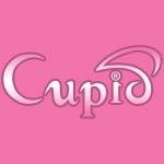 Cupid Chan Co., Ltd. Beauty Parlours