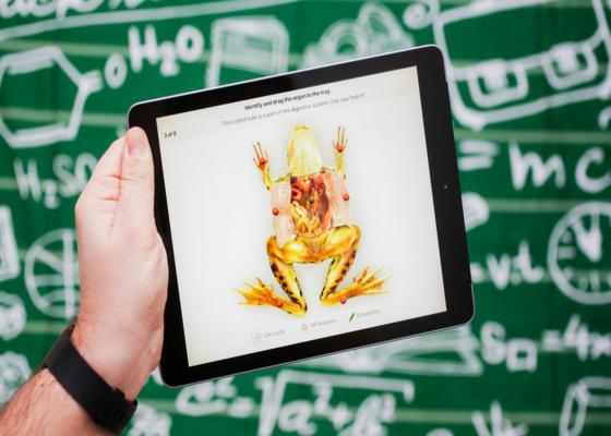 13 ipad 2018 education