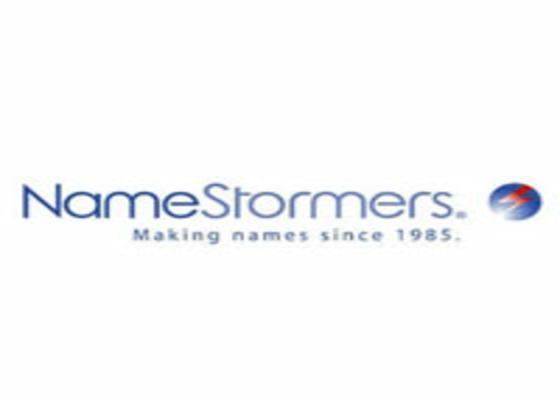 NameStormers Logo 1