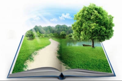 ကမာၻ ပတ္​ခ်င္​​ေနတဲ့စိတ္​ကို စာဖတ္​ျခင္​းနဲ႔ စတင္​လိုက္​ပါ!