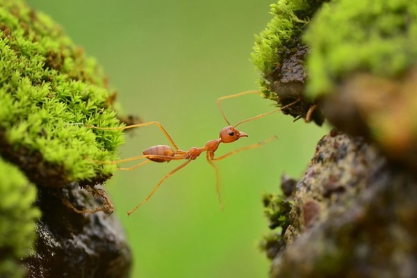 ႀကိဳးစားရင္ ေက်ာ္လြန္ႏိုင္တယ္!